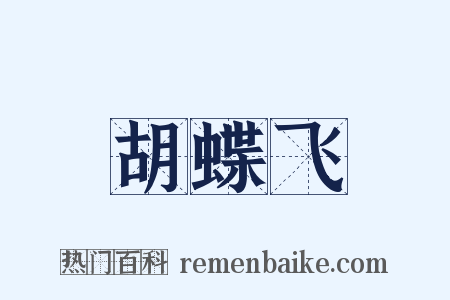 胡蝶飞是什么意思的图片